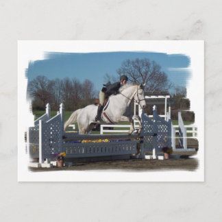 Hunter Jumper Postcard Postkarte