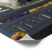 Hunter Jumper Poster (Ecke)