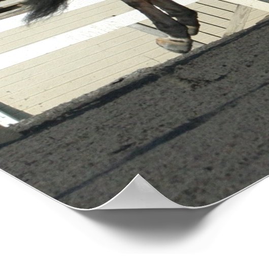 Hunter Jumper Poster 2 (Ecke)