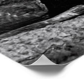 HUNTER MIT 7 HUNDERN c. 1880 Poster (Ecke)