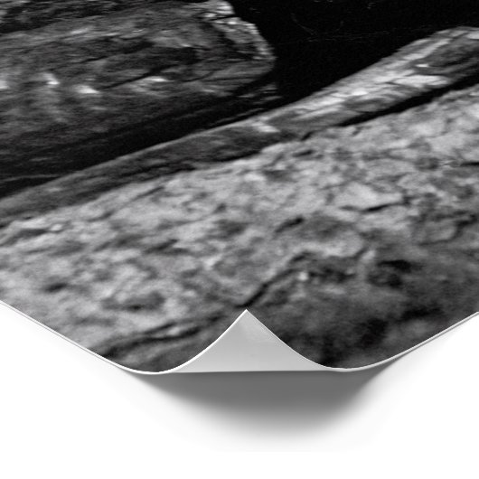 HUNTER MIT 7 HUNDERN c. 1880 Poster (Ecke)