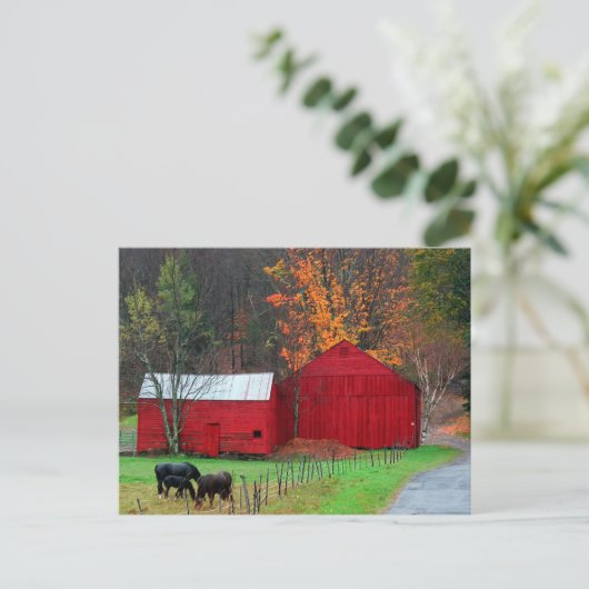 Hunter Mountain Postkarte (Stehend Vorderseite)