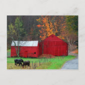 Hunter Mountain Postkarte (Vorderseite)