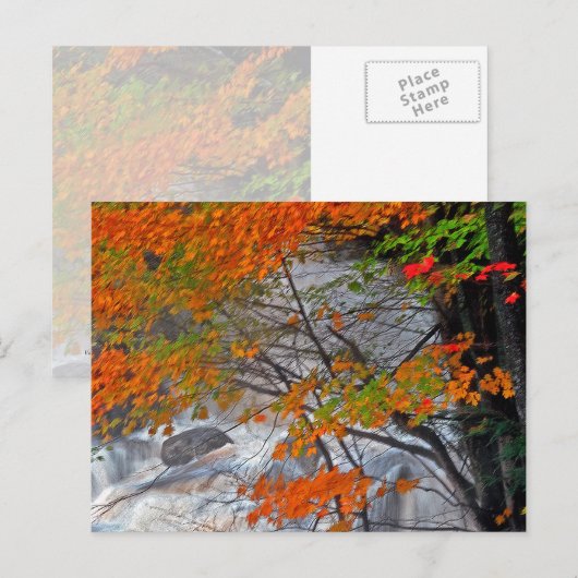 Hunter Mountain Stream Postkarte (Vorne/Hinten)