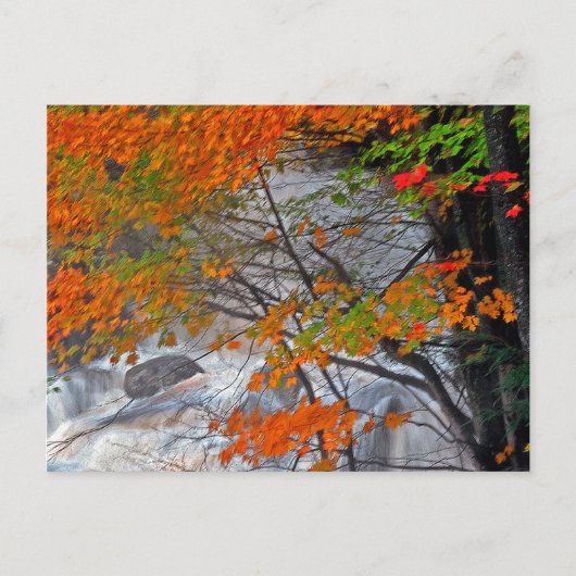 Hunter Mountain Stream Postkarte (Vorderseite)