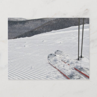 Hunter Postkarte