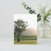 Hunter Valley, New South Wales Postkarte (Stehend Vorderseite)