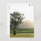 Hunter Valley, New South Wales Postkarte (Vorne/Hinten)