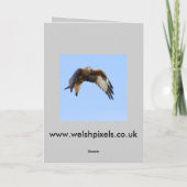 Hunting Buzzard Card Feiertagskarte (Rückseite)