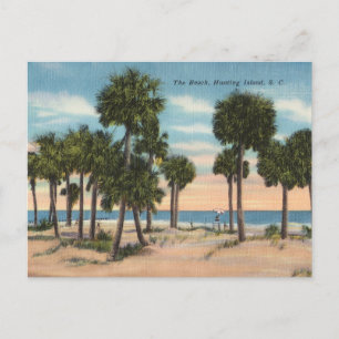 Hunting Island, South Carolina Postkarte
