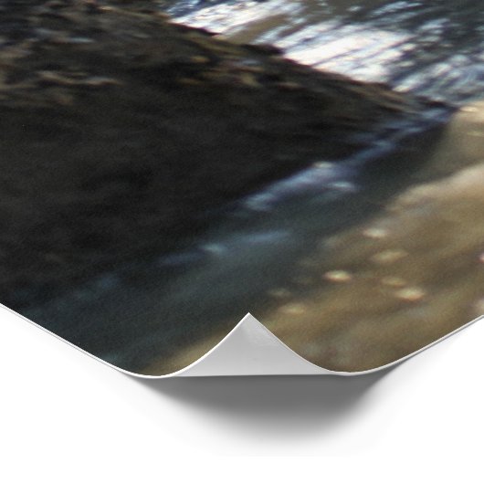 Huntington Beach California Poster (Ecke)