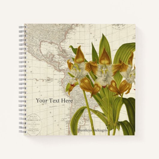 Huntleya Meleagris Orchid-Notebook Notizblock (Vorderseite)