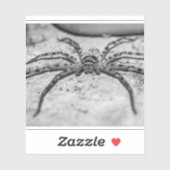Huntsman Spider Aufkleber (Blatt)