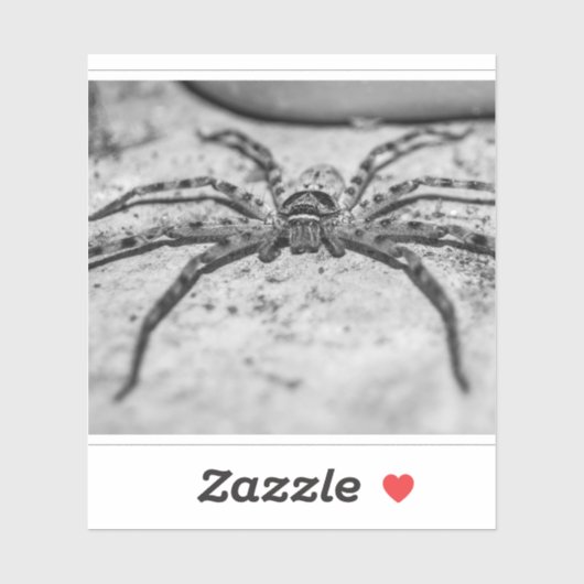 Huntsman Spider Aufkleber (Blatt)