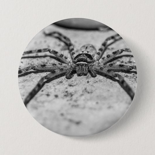 Huntsman Spider Button (Vorderseite)