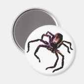 Huntsman Spider Magnet (Vorderseite/Rückseite)