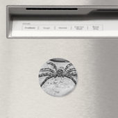 Huntsman Spider Magnet (In Situ (Geschirrspüler))