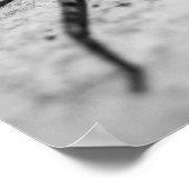 Huntsman Spider Poster (Ecke)