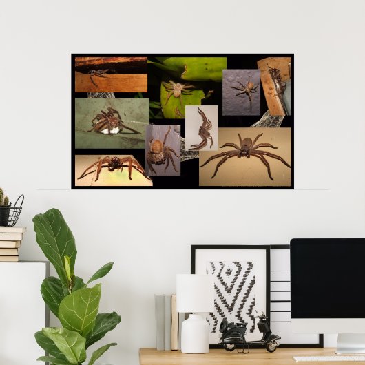 Huntsman Spider Poster (Heimbüro)