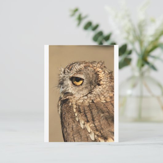 Hupen Postkarte (Stehend Vorderseite)