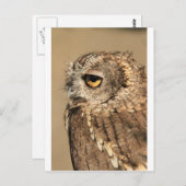 Hupen Postkarte (Vorne/Hinten)