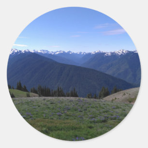 Hurricane Ridge Olympic Nat'l Park runder Aufklebe Aufkleber