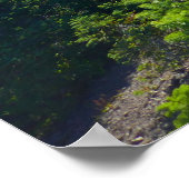 Hurricane Ridge Trail Poster (Ecke)