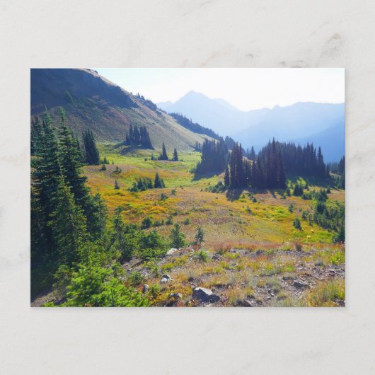 Hurricane Ridge Trail Postkarte (Vorderseite)