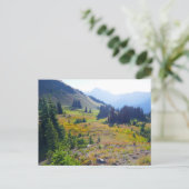 Hurricane Ridge Trail Postkarte (Stehend Vorderseite)
