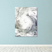 Hurrikan Alex über dem Western Golf von Mexiko Leinwanddruck (Insitu (Holzboden))