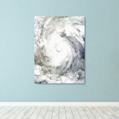 Hurrikan Alex über dem Western Golf von Mexiko Leinwanddruck (Insitu (Holzboden))