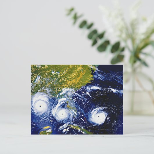 Hurrikan Andrew Postkarte (Stehend Vorderseite)