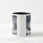 Hurrikan Felix Tasse (Zentrum)