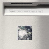 Hurrikan Gustav über Jamaika 2 Magnet (In Situ (Geschirrspüler))