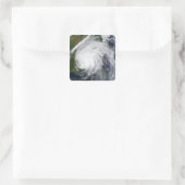 Hurrikan Ivan Quadratischer Aufkleber (Tasche)