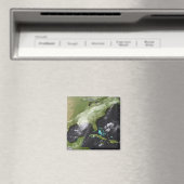 Hurrikan Katrina 4 Magnet (In Situ (Geschirrspüler))