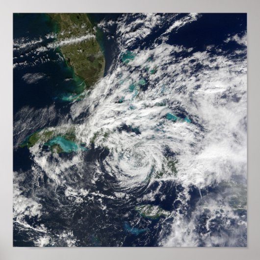 Hurrikan Paloma 2 Poster (Vorne)