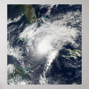 Hurrikan Paloma Poster