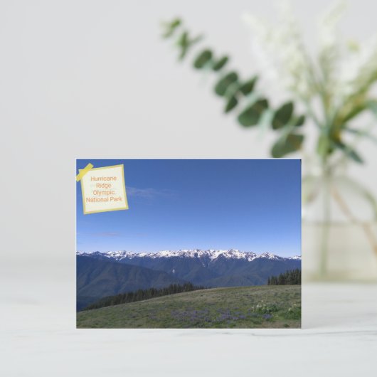 Hurrikan Ridge im Olympischen Nationalpark nach Ka Postkarte (Stehend Vorderseite)