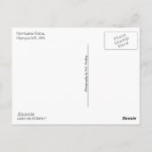 Hurrikan Ridge (Olympic N.P.) mit Text Postkarte (Rückseite)
