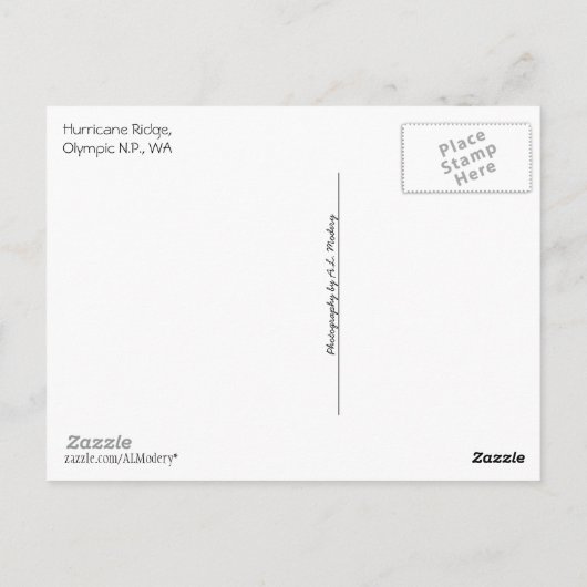 Hurrikan Ridge (Olympic N.P.) mit Text Postkarte (Rückseite)