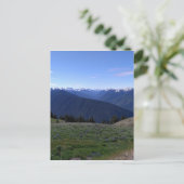 Hurrikan Ridge - Olympischer Nationalpark Postcard Postkarte (Stehend Vorderseite)