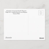 Hurrikan Ridge - Olympischer Nationalpark Postcard Postkarte (Rückseite)