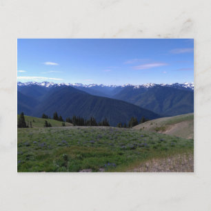 Hurrikan Ridge - Olympischer Nationalpark - Postka Postkarte