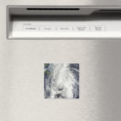 Hurrikan Tomas Magnet (In Situ (Geschirrspüler))