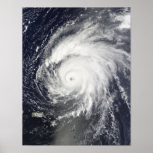 Hurrikane Bill Poster