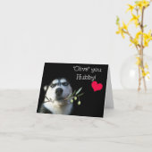 Husband Happy Birthday Niedlich Husky Dog Karte (Gelbe Blume)
