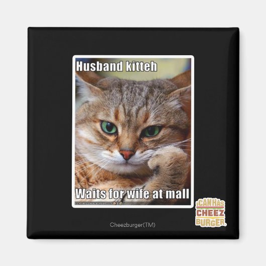 Husband Kitteh Magnet (Vorne)