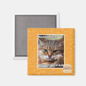 Husband Kitteh Magnet (Vorderseite/Rückseite)
