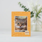 Husband Kitteh Postkarte (Stehend Vorderseite)